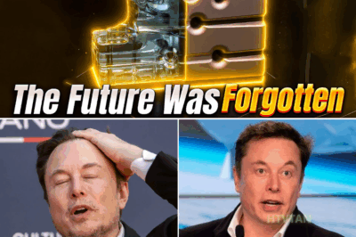 Elon Musk shock The Zinc Bromine Battery, The Future of Safe, Sustainable Energy Storage