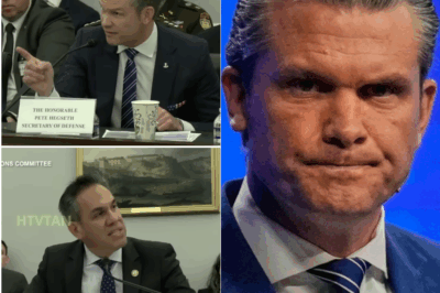 EXCLUSIVE, US: Hegseth Pulls Mic, Charges Into Screaming Fight As Lawmaker Grills On Los Angeles Riots