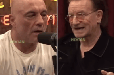 EXCLUSIVE, Bono Is Caught Off Guard When Joe Rogan Corrects His Facts