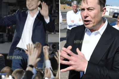 EXCLUSIVE, Trump-Musk feud threatens Musk's business empire