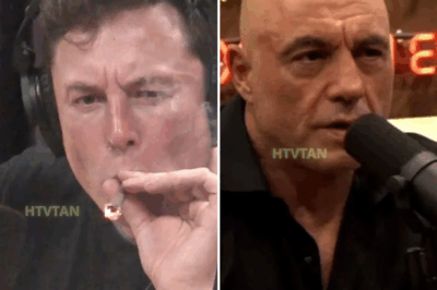 EXCLUSIVE, Joe Rogan Slowly Realizes Elon Musk SCREWED US ALL