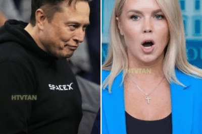 EXCLUSIVE, Elon Musk BREAKS Internet, UNITES with Trump in Massive Show of Force For MAGA | Trump Tells Elon…
