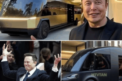 EXCLUSIVE, Elon Musk Reveals Tesla 2025 Motorhome for UNDER $17,000