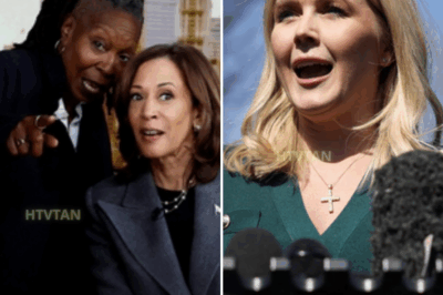 EXCLUSIVE, The View hosts slammed after saying Trump only hired Karoline Leavitt because ‘she’s a 10’