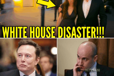 EXCLUSIVE, REPORT: Elon Musk TAKES Stephen Miller's Wife