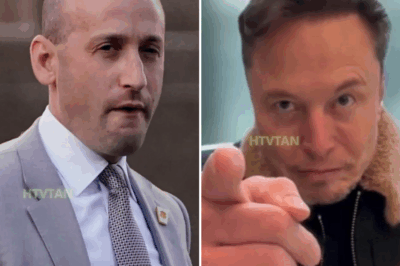 EXCLUSIVE, Musk DELETES POST Mocking Stephen Miller for "TAKING WIFE"