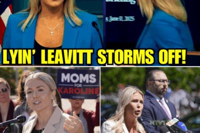 EXCLUSIVE, Karoline Leavitt STORMS OFF IN RAGE As Press Briefing COLLAPSES!