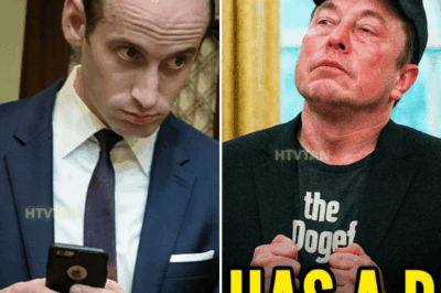 EXCLUSIVE, Here's Who REALLY PUNCHED Elon Musk