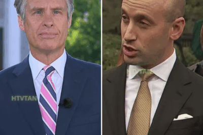 EXCLUSIVE, ABC News Cowards Suspend Brave Reporter for TELLING TRUTH ABOUT TRUMP & STEPHEN MILLER!!!