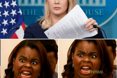 KAROLINE LEAVITT EXPLODES AT PRESS CONFERENCE, CRITICIZES REPORTER FOR LYING ABOUT LOS ANGELES PROTESTS!