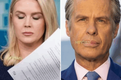 EXCLUSIVE, 'UNACCEPTABLE': Karoline Leavitt unloads over ABC journalist's tweet