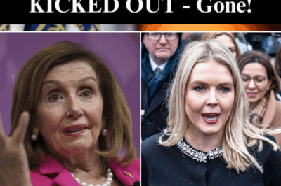 Pelosi Makes Up Fake Sections of Constitution, Dems Nod In Agreement