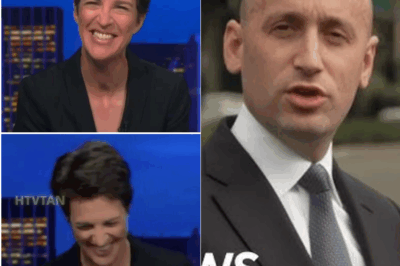 EXCLUSIVE, Rachel Maddow PUBLICLY HUMILIATES Stephen Miller After Wife’s Scandal ERUPTS