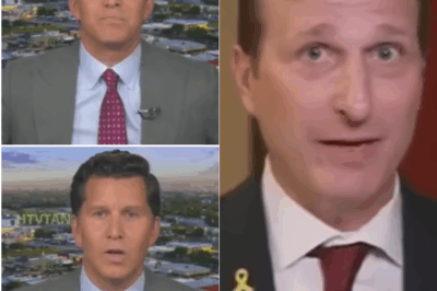 EXCLUSIVE, Fox News Host Grills Dem Congressman