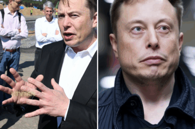 Elon Musk and His Unexpected Journey: The Power of Asking for Help