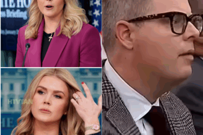 EXCLUSIVE, Reporter to Karoline Leavitt: Have you ever paid a tariff?