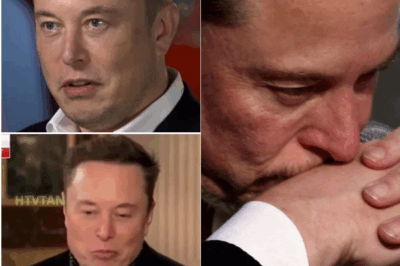 EXCLUSIVE, SAD NEWS: SpaceX employees and Elon Musk fans shed tears and pray for Elon Musk after heartbreaking announcement… Praying for your mother and family –