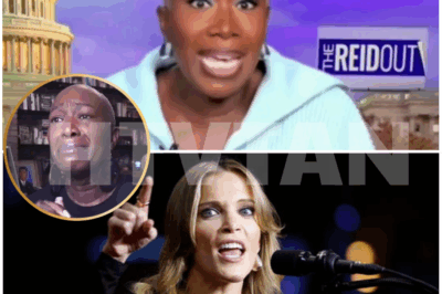 SHOCKING REVEAL: Megyn Kelly MOCKS Joy Reid After MSNBC Axes Her Show—“Who’s Crying Now, Joy?”