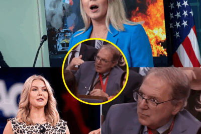 SHOCKING TV MOMENT: The Reporter Tried to Be a Smartass—Karoline Leavitt Left Him Speechless in Just 30 Seconds! What was supposed to be just another routine press hit turned into a stunning moment of dominance when a smug New York Times journalist tried to corner Karoline Leavitt with a condescending question. Underestimating Leavitt’s sharpness, he was left speechless after just 30 seconds of her precise, cutting response. No shouting. No panic. Just facts, finesse, and total control. The clip quickly went viral, with fans calling it her most surgical takedown yet. This is the moment everyone is talking about—get the full details on how she shut him down in seconds!