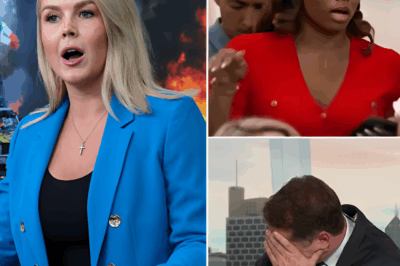 “DON’T ASK SUCH STUPID QUESTIONS LIKE THAT” — KAROLINE LEAVITT SHUTS DOWN BLACK REPORTER OVER L.A. RIOT LIES—AND WHAT SHE SAID LEFT THE ROOM IN SHOCK!  What began as a tense interview spiraled into an unforgettable reality check when Karoline Leavitt called out a reporter for pushing false narratives about the L.A. riots. With razor-sharp precision, Leavitt dismantled the reporter’s talking points, leaving no room for doubt. When the reporter attempted to pivot, Leavitt responded with facts so sharp that the entire studio was left frozen in stunned silence. The exchange quickly went viral, with fans hailing it as one of her most satisfying takedowns. What did Leavitt say that turned the tables so dramatically? Full details below 👇