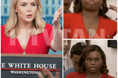 SHOCKING: Karoline Leavitt Dismantles Reporter’s Question Live—And The Room Hasn’t Recovered Since!