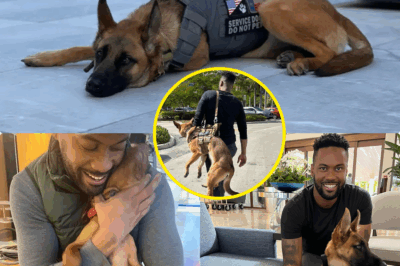 “SHOCKING TURN OF EVENTS!” – When Nala the Dog Entered Lawrence Jones’ Life, No One Could Have Predicted What Would Happen Next…  In an astonishing twist, Nala the rescue dog has completely transformed Lawrence Jones’ life, becoming the unexpected reason he’s still single. What started as a simple adoption has evolved into something much deeper. Lawrence, who once believed love and companionship were elusive, now finds himself wrapped in a bond so strong with Nala that he admits, “She’s the reason I’m still single. I have everything I need right here with her.”  While most might see this as a sacrifice, Lawrence is more content and fulfilled than ever before. Nala has filled his heart in a way he never expected, and this powerful connection has sparked a change in him that’s more rewarding than any relationship. From a rescue dog to a beloved companion, Nala’s presence has brought Lawrence a joy that no one saw coming.  Watch how this incredible journey has turned Lawrence’s world upside down—he’s found his true happiness with Nala by his side. This is a love story like no other, and it’s one that you have to see to believe.