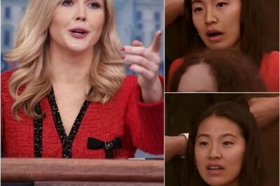 EXCLUSIVE, “EXCUSE ME—THIS IS AMERICA”: Karoline Leavitt FREEZES Chinese Reporter With One Sentence That Changed the Room –
