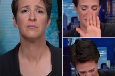 EXCLUSIVE, Rachel Maddow Breaks Down LIVE on MSNBC — But What She Revealed After the Cameras Cut Left Viewers in Total Silence –