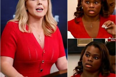 EXCLUSIVE, Karoline Leavitt Just Humiliated a Reporter Over the LA Riot Lies — And the Room Hasn’t Recovered Since –