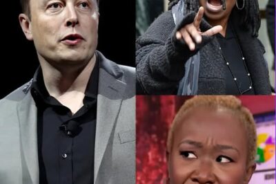EXCLUSIVE, M.S.N.B.C Changes Hands! Elon Musk Officially Owns M.S.N.B.C, Determined to “Clean Up” the Celebrity Defamation Experts on The View