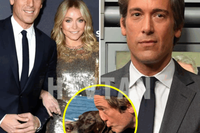 SHOCKING REVEAL: David Muir Opens Up About the Silent Battle That Nearly Ended His Career—What You Didn’t Know About the Iconic Anchor’s Struggle