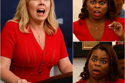 BREAKING: KAROLINE LEAVITT TORCHES REPORTER OVER L.A. RIOT FALSEHOODS—A SHOCKING MOMENT THAT LEFT EVERYONE SPEECHLESS!