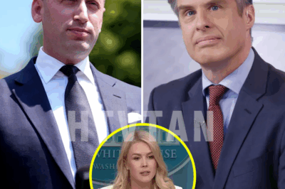 SHOCKING REVEAL: Terry Moran SUSPENDED After Controversial Social Media Post — Karoline Leavitt’s Unlikely Role Turns the Tables!