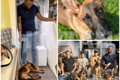 A LIFE-CHANGING CONNECTION: HOW NALA THE DOG TRANSFORMED LAWRENCE JONES’ WORLD—THE TRUE STORY REVEALED!