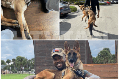 UNEXPECTED BOND: HOW NALA THE DOG TURNED LAWRENCE JONES’ LIFE UPSIDE DOWN—WHAT YOU NEED TO KNOW!