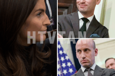 STEPHEN MILLER CLASHES WITH CNN’S KAITLAN COLLINS IN HEATED OVAL OFFICE SHOWDOWN – WHAT REALLY HAPPENED?