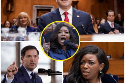 “BOOM: MARCO RUBIO DESTROYS JASMINE CROCKETT’S CAREER WITH ONE SHOCKING SENTENCE!”  In a jaw-dropping moment that left the entire room in stunned silence, Jasmine Crockett accused Marco Rubio of using a wig and manipulating his appearance, claiming it was all just like his so-called “legal statements”—all lies.  But instead of reacting with anger or defense, Rubio dropped a single, devastating sentence that shut her down completely, leaving Crockett speechless and her political career hanging by a thread.  What was this game-changing sentence that ended it all for Crockett in an instant? And how will this moment reshape their political futures?  Click below to discover the full, explosive details behind the sentence that shook everything.