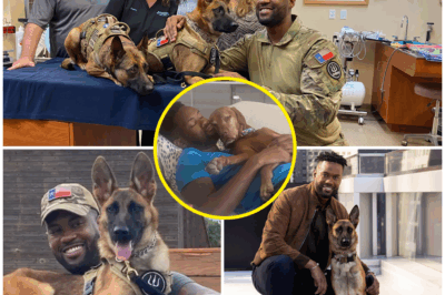 “A MUST-KNOW STORY: HOW NALA THE DOG CHANGED LAWRENCE JONES’ LIFE FOREVER—WHAT’S THE SECRET BEHIND THIS UNBREAKABLE BOND?”  What started as a simple companionship quickly transformed into something life-altering for Lawrence Jones when he met Nala—a dog whose impact on his life goes beyond words.  Behind their unexpected connection lies a story of healing, trust, and resilience—a bond so deep, it’s left everyone wondering: What makes this relationship so powerful, and why is it changing Lawrence’s life in ways no one anticipated?  As Lawrence’s journey unfolds, this seemingly simple relationship with Nala has become a defining force in his life, one that’s reshaping how he views loyalty, love, and healing.