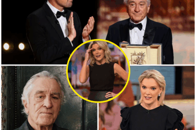 “SHOCKING ONSLAUGHT: ROBERT DE NIRO SILENCES MEGYN KELLY LIVE ON AIR WITH EIGHT CHILLING WORDS—WHAT HE SAID LEFT HER STUNNED INTO SILENCE!”  What was meant to be a routine live exchange between Megyn Kelly and Hollywood icon Robert De Niro exploded in a moment of pure shock. After Kelly, with unmatched boldness, called De Niro “extremely stupid” on-air, viewers braced themselves for an all-out verbal showdown. The air was thick with anticipation, but what followed was unbelievably quiet.  Instead of reacting with anger, De Niro calmly delivered just eight words—a comeback so chilling, it paralyzed the entire studio. No shouting. No drama. Just a quiet, calculated strike that left Kelly speechless, her usual confidence completely shattered in front of millions.  What exactly did De Niro say that caused such an explosive shift? Was it pure genius, or did he just play a dangerous game?  The internet is on fire with speculation, and fans can’t stop talking. Click below to uncover the full, jaw-dropping truth behind this moment that’s shaking the media world to its core.