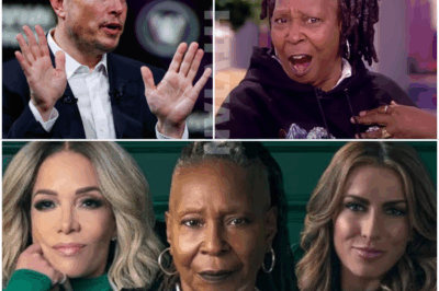 EXPLOSIVE MOVE: Elon Musk SHOCKS America by Buying ABC for $790 Million—Shuts Down ‘The View’ After On-Air Insults!