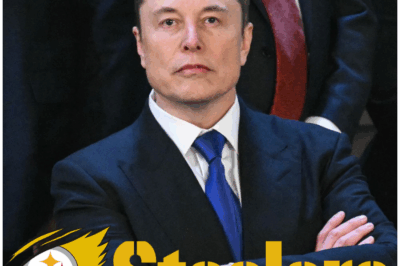 BREAKING: Elon Musk Shocks NFL with $14 Billion Offer to Buy Pittsburgh Steelers – Art Rooney II Immediately Confirms