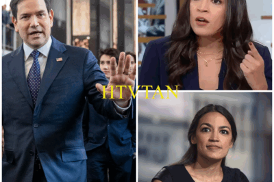 “SHOCKING REVELATION: AOC EXPOSES MARCO RUBIO’S SECRET—SHE ACCUSES HIM OF WEARING A WIG AND DECLARES, ‘WHAT HE SAID IS AS FAKE AS HIS HAIR!’”  In a breathtaking on-air clash, AOC dropped a bombshell that has left the political world reeling—she accused Marco Rubio of wearing a wig and screamed, “What he said is as fake as his hair!” The shock didn’t stop there. Rubio admitted it, confirming the accusation live, leaving everyone stunned.  But the real shocker? In an unbelievable twist, Rubio responded with just one powerful sentence that left AOC completely speechless. The moment went silent, and AOC couldn’t even utter a word—a defeat no one saw coming.  What did Rubio say that turned the tables so dramatically? And how did this unexpected confrontation change the course of their heated exchange?  Click below to uncover the full, jaw-dropping details of this explosive battle that’s shaking the political world!