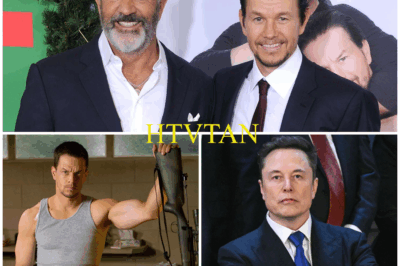 “HOLLYWOOD SHOCKWAVE: MEL GIBSON, MARK WAHLBERG, AND ELON MUSK TEAM UP TO LAUNCH A $1B-$3B ‘ANTI-WOKE’ FILM STUDIO—’WE’RE TAKING BACK ENTERTAINMENT!’”  In an earth-shattering move that has the entire entertainment industry reeling, Mel Gibson, Mark Wahlberg, and Elon Musk have joined forces to launch a groundbreaking film studio—and it’s anything but business as usual. With a massive $1B-$3B investment, these three powerhouses are setting out to reclaim Hollywood from what they call the “woke culture” that has taken over the industry.  This game-changing partnership is shaking the very foundation of entertainment as we know it. Gibson’s unflinching defiance, Wahlberg’s unmatched star power, and Musk’s relentless ambition have combined to create a force that is ready to rewrite the rules—and they’re not holding back.  Why are these legendary figures so determined to wage war against Hollywood’s status quo? What’s their plan for taking back entertainment—and what will this mean for the future of films and television?