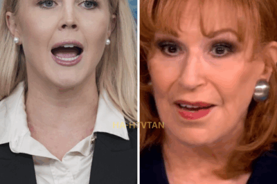 In a stunning twist, Karoline Leavitt has filed a fierce defamation lawsuit against The View, accusing the hosts of publicly calling her a “b*tch” during a live broadcast. With the court now involved, the stakes are higher than ever, and The View is facing an explosive legal battle.