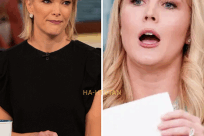 In a jaw-dropping twist, Karoline Leavitt has done the unthinkable—she’s taken The View down in an $800 million legal battle that has the entire media world reeling. What began as a simple, cruel on-air moment has quickly spiraled into a massive courtroom drama, shaking the foundations of daytime TV. And now, Megyn Kelly’s explosive response to the situation is making waves, revealing just how much this legal clash has rattled the entire industry.