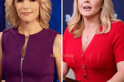 In an unprecedented move, Karoline Leavitt has launched an $800 million lawsuit that has thrown The View into turmoil, potentially sinking the popular daytime show. What started as an offhand remark on air has now snowballed into a full-scale legal war. With Megyn Kelly weighing in, the stakes have never been higher, and her reaction says everything about the ripple effect this scandal is causing across the media industry.