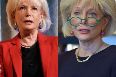 veteran 60 Minutes journalist Lesley Stahl has publicly taken aim at CBS boss Shari Redston