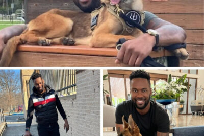 ‘Almost Like a Movie’ — How Nala the Dog’s Incredible Journey to Fox News Changed Lawrence Jones’ Life Forever!