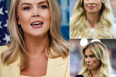 Reporter FIRED After INSULTING Karoline Leavitt LIVE on TV—The Explosive Moment Everyone’s Replaying It was supposed to be a routine interview, but when one reporter crossed the line with a smug, insulting comment aimed at Karoline Leavitt, everything changed in an instant.