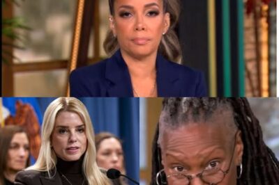 EXPLOSIVE MOMENT: Pam Bondi DROPS A BOMBSHELL on The View—One Sentence Sends the Set into COMPLETE CHAOS!  What started as an ordinary segment on The View spiraled into absolute pandemonium when Pam Bondi dropped a shocking line that left the entire set in complete disarray. The hosts froze in shock, the audience gasped in disbelief, and within seconds, producers were scrambling to regain control of the situation. What exactly did Bondi say to trigger such an explosive reaction? The stunning moment has left viewers on the edge of their seats, with speculation running wild. Watch the chaos unfold in this jaw-dropping clip below